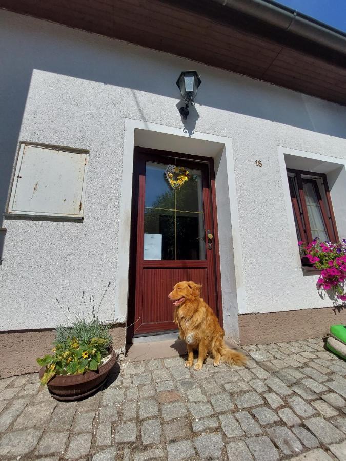 Penzion Na Vysluni Strasin Exteriör bild