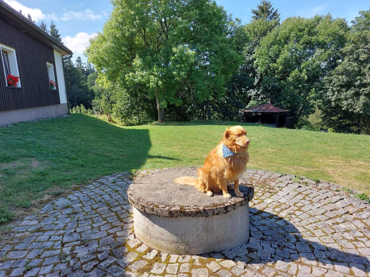 Penzion Na Vysluni Strasin Exteriör bild