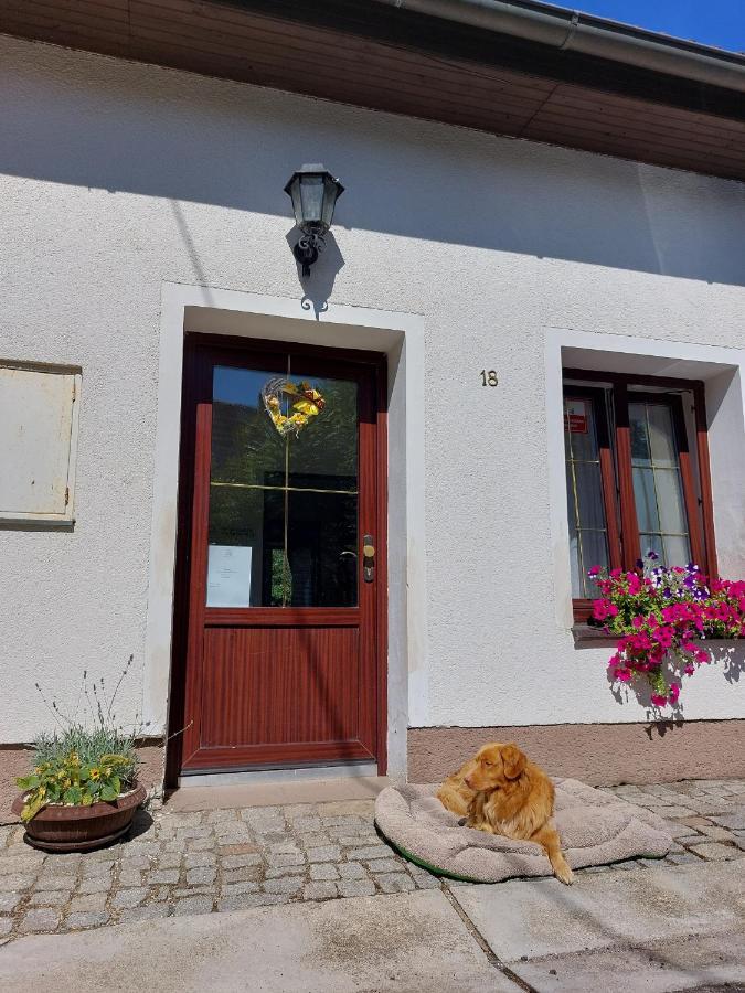 Penzion Na Vysluni Strasin Exteriör bild