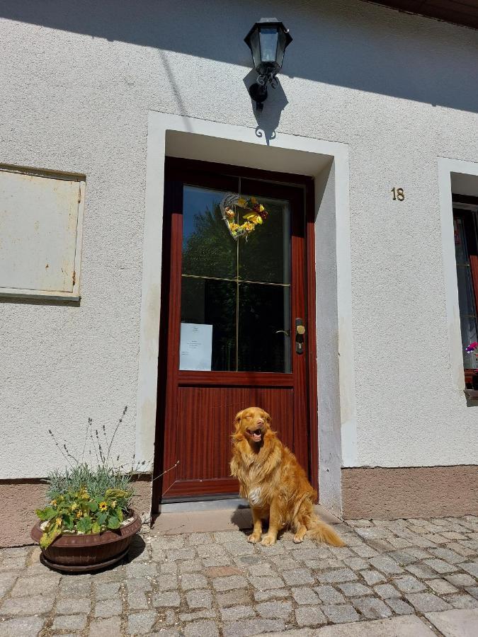 Penzion Na Vysluni Strasin Exteriör bild