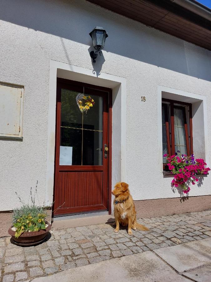 Penzion Na Vysluni Strasin Exteriör bild